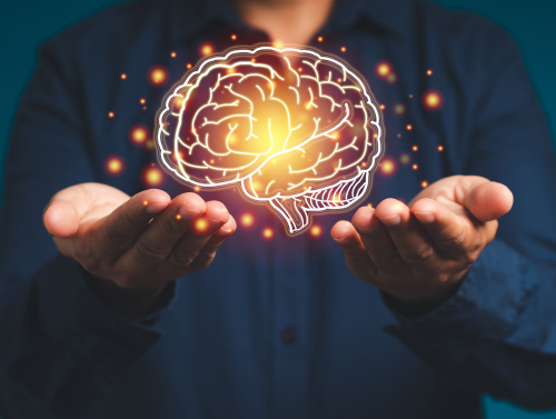 Brain in palm of hands